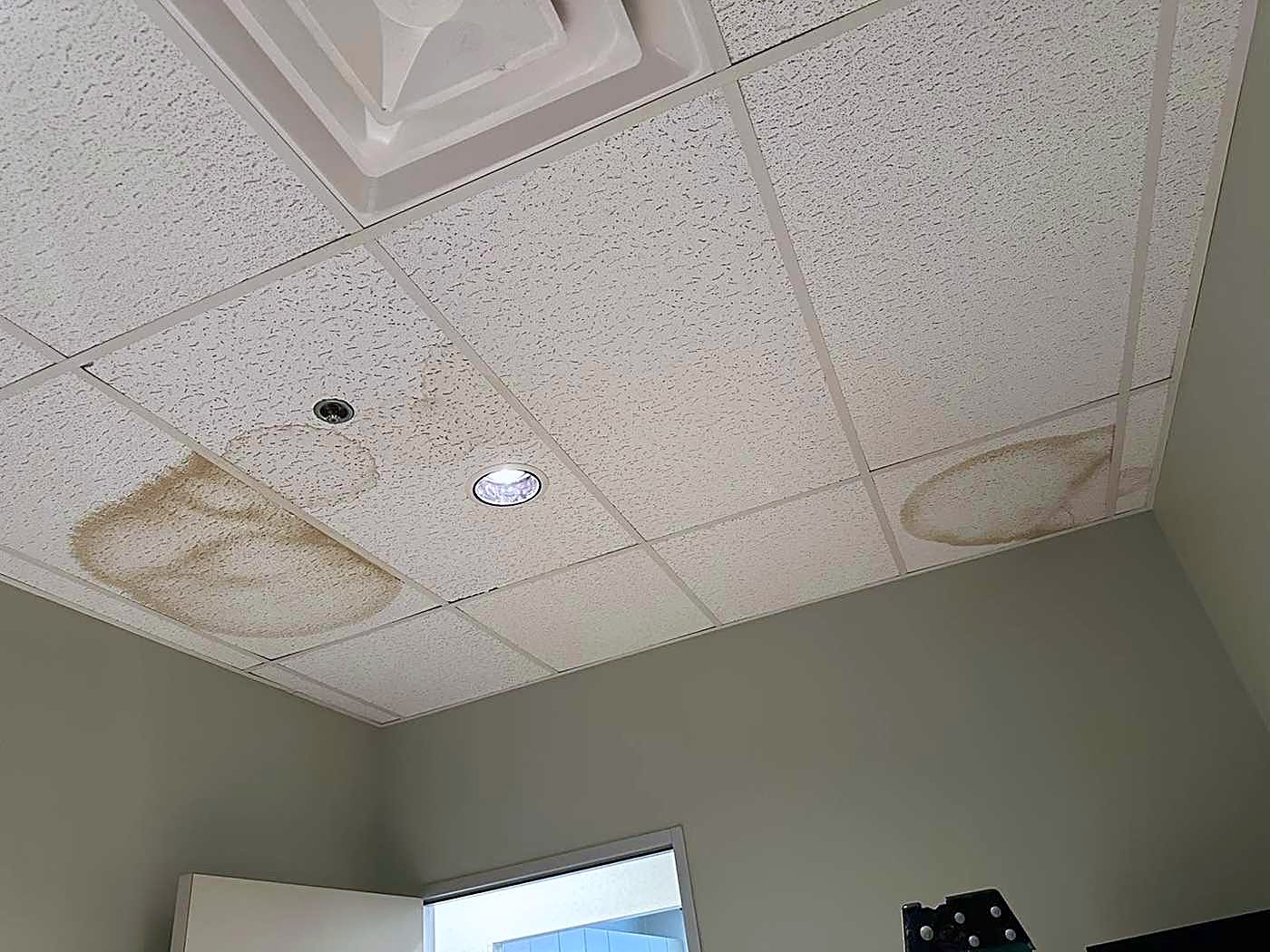 Water staining on ceiling tiles, photographed during a leak inspection